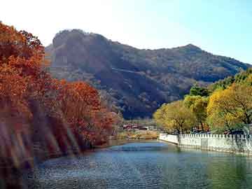 新澳天天开奖资料大全旅游团，论坛搜索